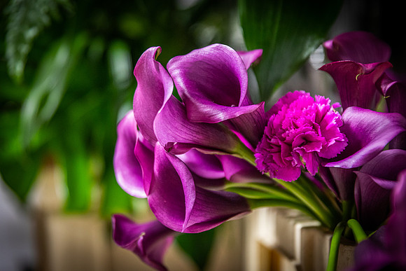0F3A0092